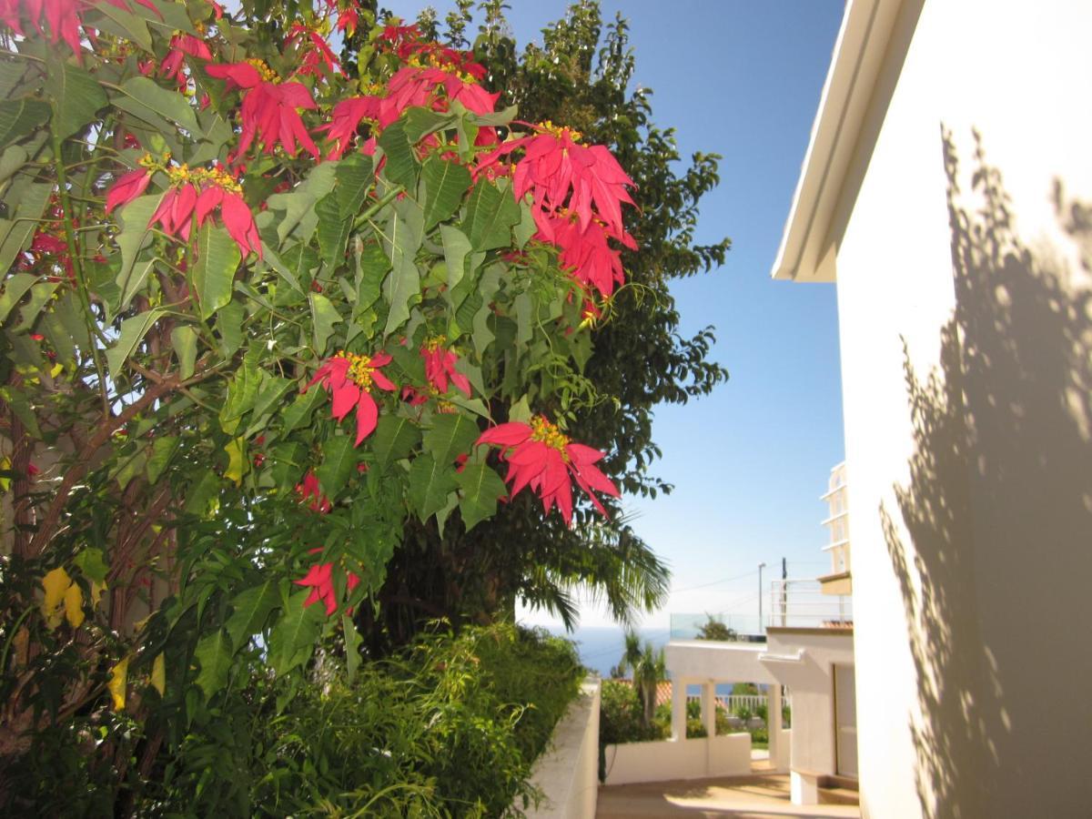 Villa Hansen In Garajau - Cristo Rei Caniço Exterior foto